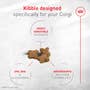 Corgi Puppy Dry Dog Food - View 2