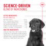 Immunity Digestion Chews (Puppy) - View 5