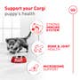 Corgi Puppy Dry Dog Food - View 3