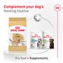 Corgi Adult Dry Dog Food - View 8