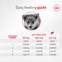 Corgi Puppy Dry Dog Food - View 5