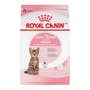 Kitten Spayed/Neutered Dry Cat Food - View 1