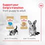 Corgi Puppy Dry Dog Food - View 4
