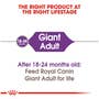 Giant Adult Dry - View 4