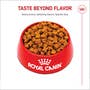 German Shepherd Adult Dry Dog Food - View 8