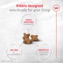 Corgi Adult Dry Dog Food - View 2