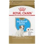 Jack Russell Terrier Puppy Dry Dog Food - View 1