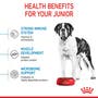 Giant Junior Dry - View 5