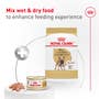 French Bulldog Loaf In Sauce Canned Dog Food - View 8