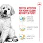 Golden Retriever Puppy Dry Dog Food - View 3