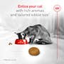 Fussy Adult Dry Cat Food - View 3