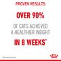 Weight Care Adult Dry Cat Food - View 7