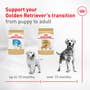 Golden Retriever Adult Dry Dog Food - View 4