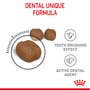 Dental Care Dry Cat Food - View 7