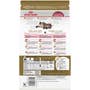 Maine Coon Kitten Dry Cat Food - View 2