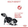 Digestive Care Dry Cat Food - View 8