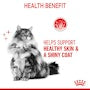 Hair & Skin Care Dry Cat Food - View 6