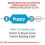 French Bulldog Puppy Dry Dog Food - View 4