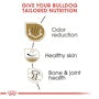Bulldog Adult Dry Dog Food - View 4