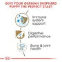 German Shepherd Puppy Dry Dog Food - View 4