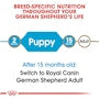 German Shepherd Puppy Dry Dog Food - View 5