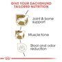 Dachshund Adult Dry Dog Food - View 4