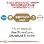 Dachshund Adult Dry Dog Food - View 5