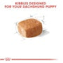 Dachshund Puppy Dry Dog Food - View 3