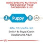 Dachshund Puppy Dry Dog Food - View 5