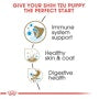 Shih Tzu Puppy Dry Dog Food - View 4