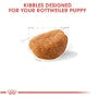 Rottweiler Puppy Dry Dog Food - View 3