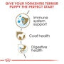 Yorkshire Terrier Puppy Dry Dog Food - View 4