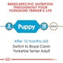 Yorkshire Terrier Puppy Dry Dog Food - View 5