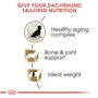 Dachshund 8+ Adult Dry Dog Food - View 4