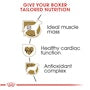 Boxer Adult Dry Dog Food - View 4