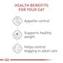 Appetite Control Care Dry Cat Food - View 6