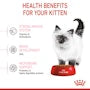 Kitten Dry Cat Food - View 5