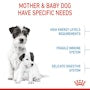 Small Starter Mother & Babydog - View 5