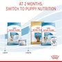 Small Starter Mother & Babydog - View 8