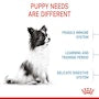 X-Small Puppy Dry Dog Food - View 5